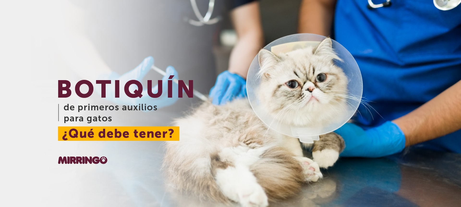 Botiquín de primeros auxilios para gatos